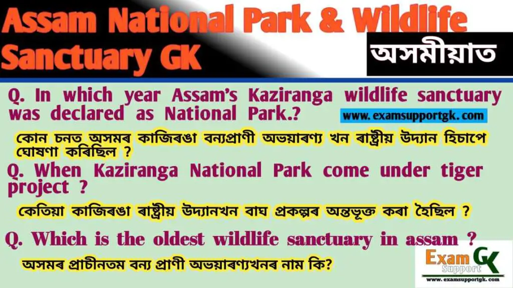 Assam National Park and  Wildlife Sanctuary GK, Assam National Park GK